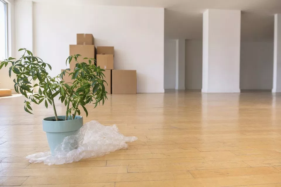 How to Move Plants with Residential Moving Service?